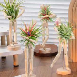 4-Piece Articulated Wooden Air Plant Stand | Adjustable Posture | Desktop Decoration