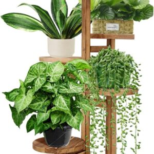 Five-Tier Wooden Corner Plant Stand | Living Room Balcony Garden Display Shelf | Brown